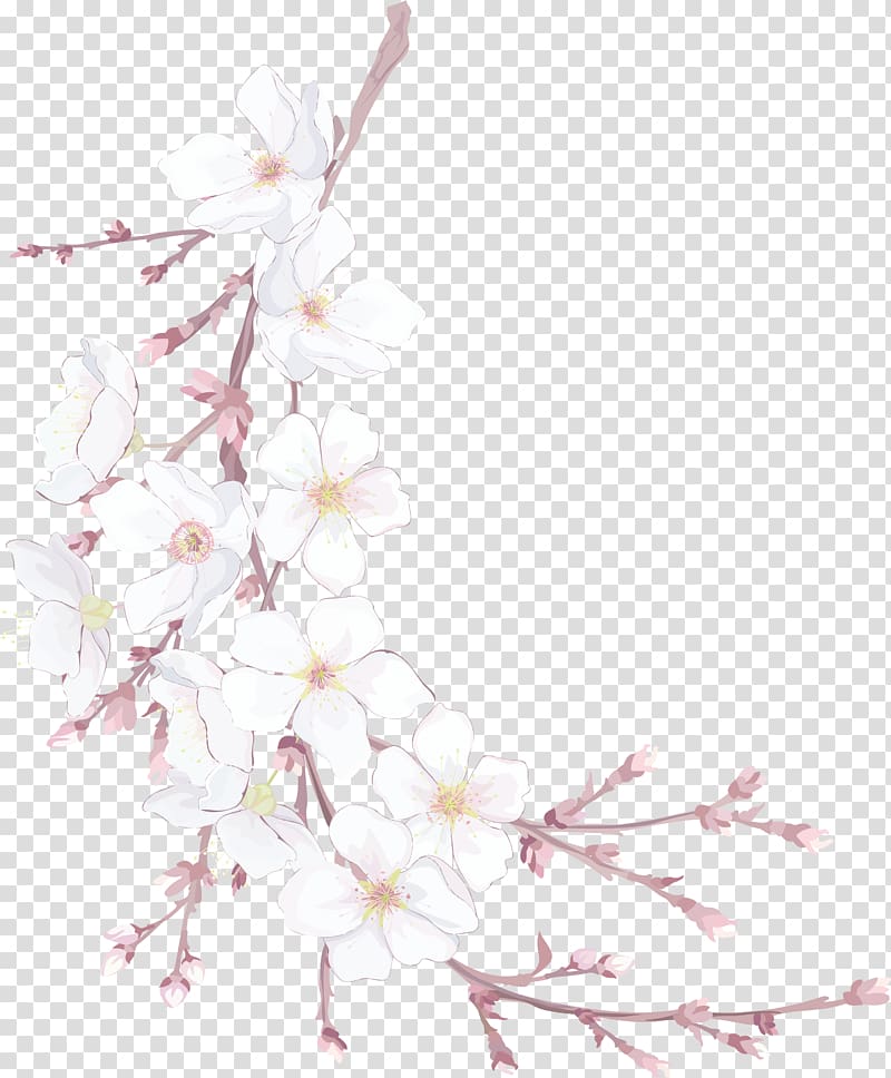 white flowers illustration, Flowers transparent background PNG clipart