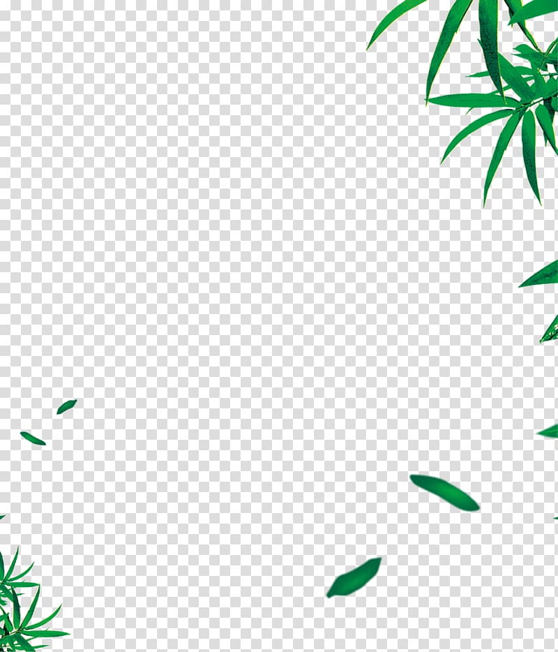 Leaf Angle Area Pattern, Green bamboo leaves background transparent background PNG clipart
