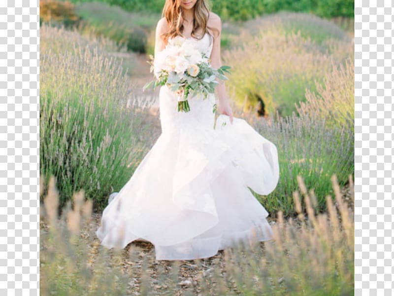 Sonoma Wedding dress Bride Napa, blush floral transparent background PNG clipart