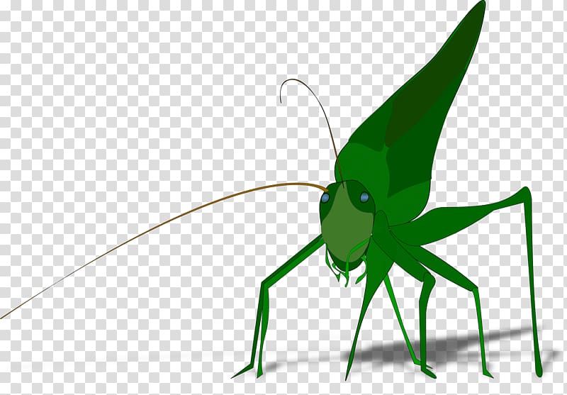 The Ant and the Grasshopper , Shadow Effect transparent background PNG clipart