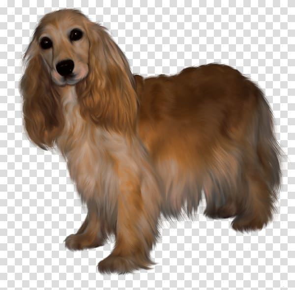 Field Spaniel English Cocker Spaniel Dog breed Companion dog Puppy, puppy transparent background PNG clipart