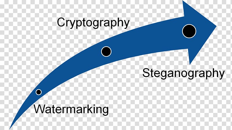 Steganography Encryption Information Computer forensics Computer security, others transparent background PNG clipart