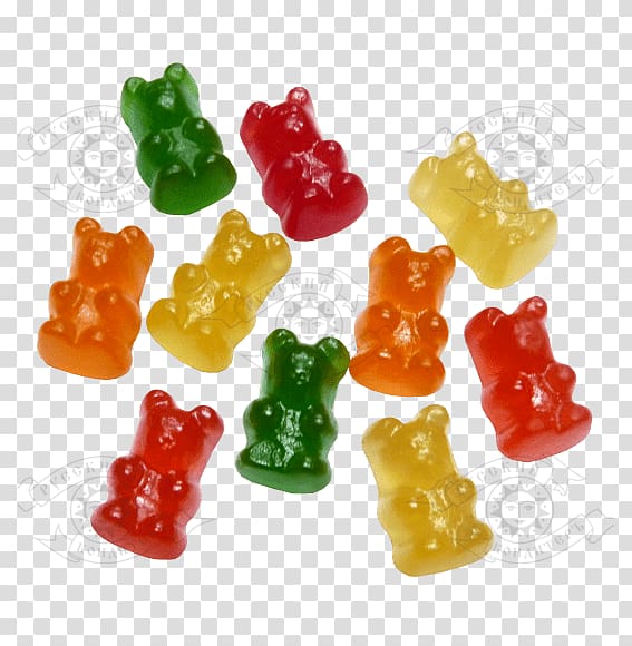 Gummy bear Jelly Babies Wine gum Food, bear transparent background PNG clipart