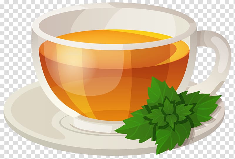 Green tea Sencha Drink Rooibos, Cup tea transparent background PNG clipart