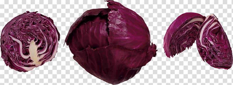 Red cabbage Red slaw Vegetable Coleslaw, cabbage transparent background PNG clipart