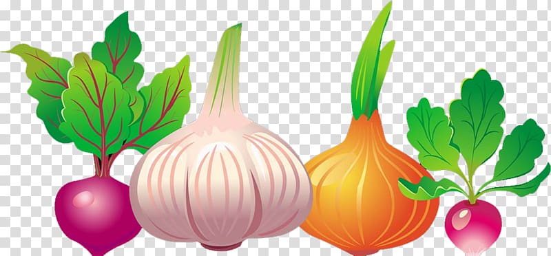 Common beet Vegetable Euclidean Beetroot, garlic transparent background PNG clipart