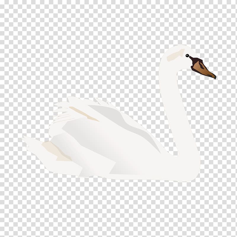 Duck Domestic goose Cygnini, Big white goose transparent background PNG clipart