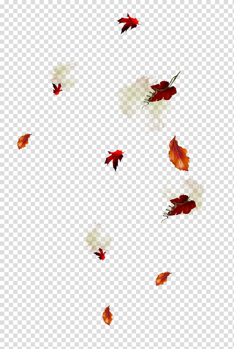 Leaf Autumn Abscission , autumn transparent background PNG clipart
