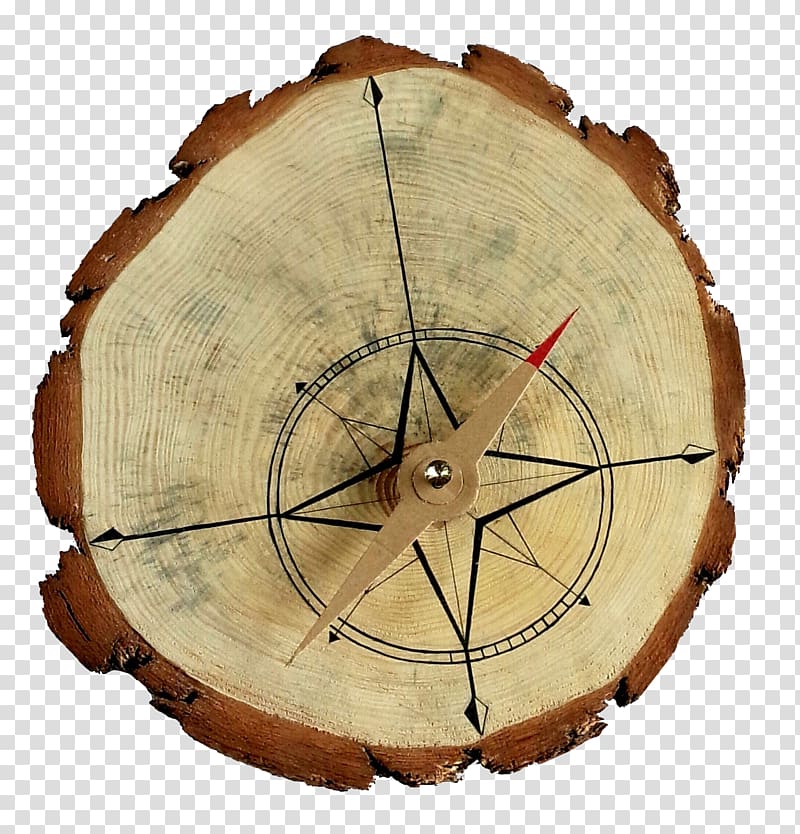 Aastarxf5ngad Wood Tree Google s, Tree ring compass transparent background PNG clipart