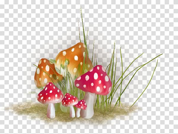 Mushroom Idea, Champignon transparent background PNG clipart