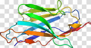 Line Point , line transparent background PNG clipart thumbnail