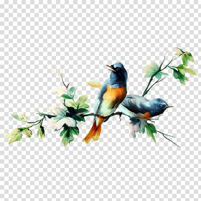 Bird, sparrow transparent background PNG clipart