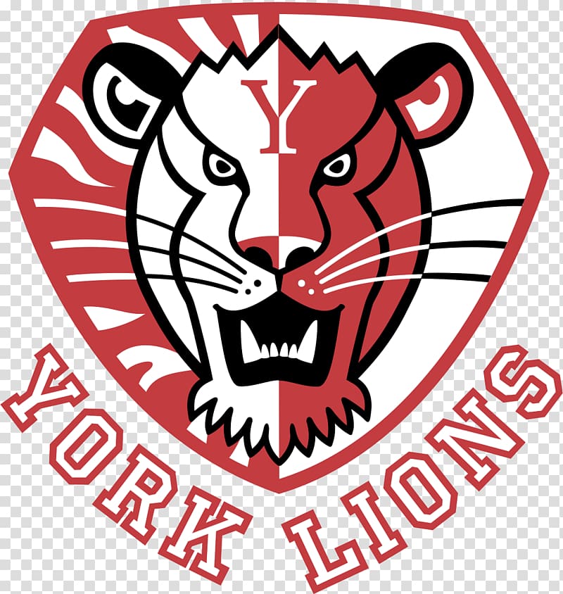 York University York Lions women\'s ice hockey University of Windsor, student transparent background PNG clipart