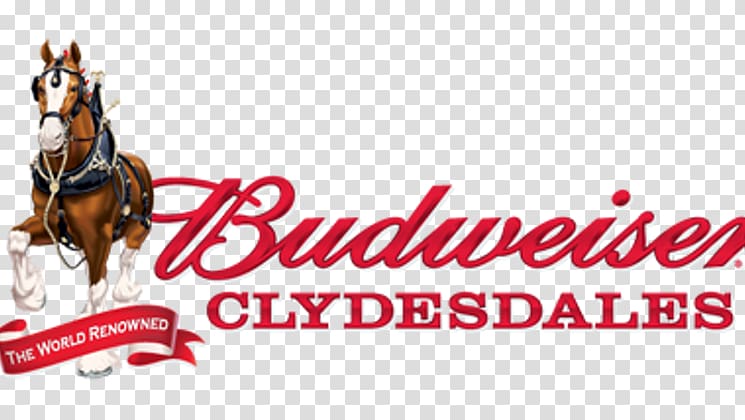 Clydesdale horse Budweiser Clydesdales Anheuser-Busch Prohibition in the United States, others transparent background PNG clipart