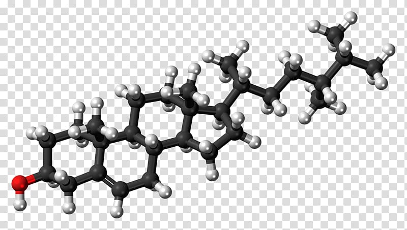 Cholesterol Steroid Pharmaceutical drug Atorvastatin Dehydroepiandrosterone, Campesterol transparent background PNG clipart