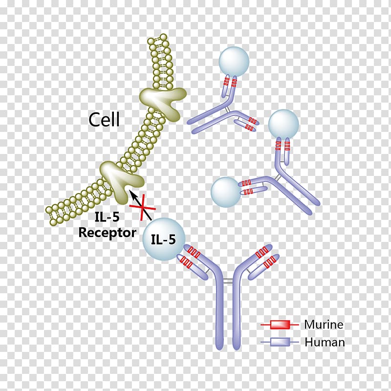 Interleukin 5 Reslizumab Adalimumab Monoclonal antibody Pharmaceutical drug, others transparent background PNG clipart