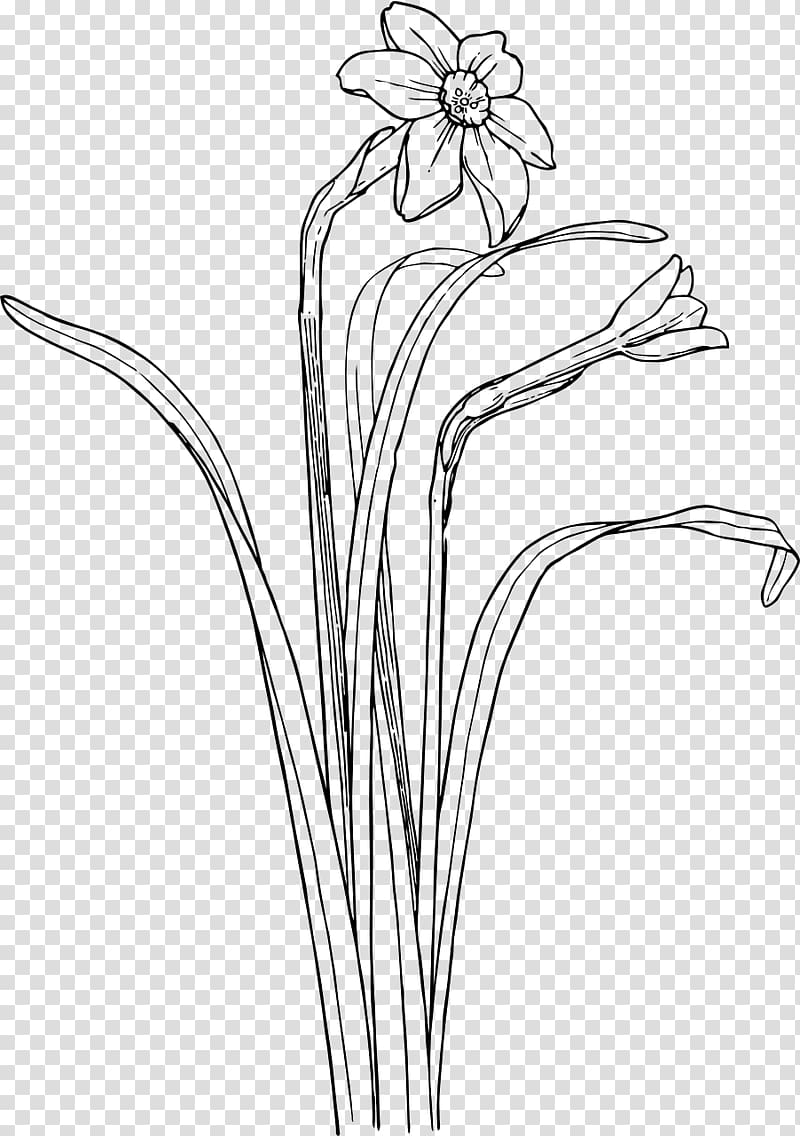 Flower Shrub Plant stem Drawing , flower transparent background PNG clipart