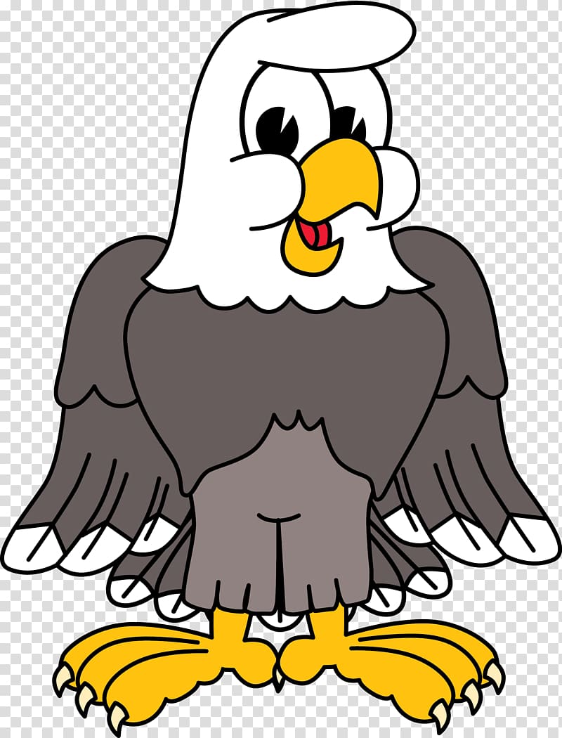 Bald Eagle , eagle mascot transparent background PNG clipart