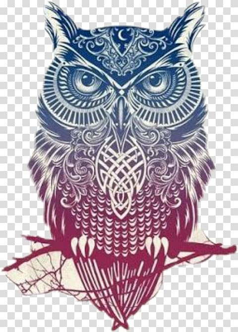 Little Owl Tattoo Color Pin, owl transparent background PNG clipart