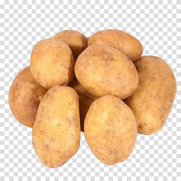 Russet burbank potato Irish potato candy Yukon Gold potato Sweet potato Tuber, padaria transparent background PNG clipart