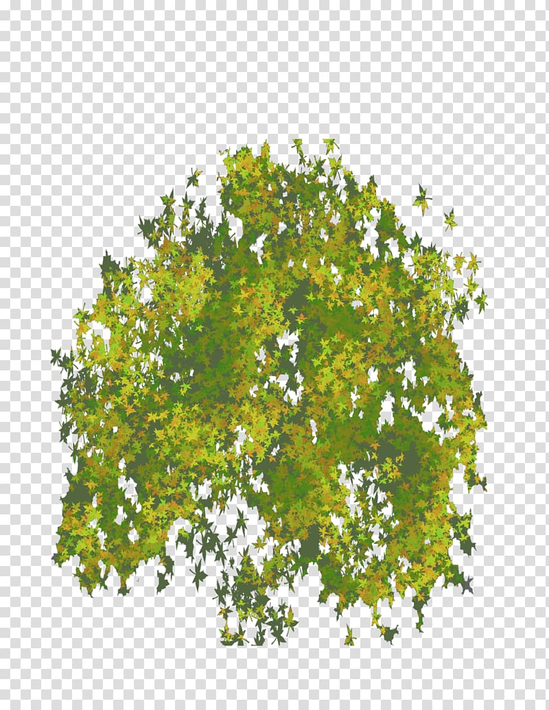 green tree, Tree Computer Icons Shrub, Top Tree transparent background PNG clipart