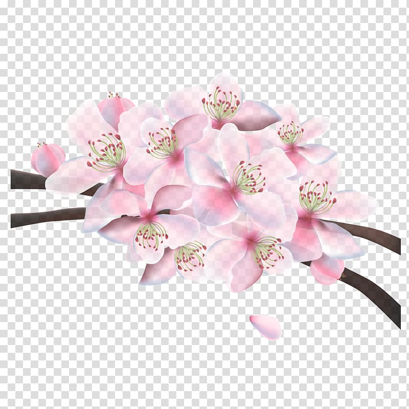 Pink Floral design Cherry blossom, Pink Japanese poster material transparent background PNG clipart