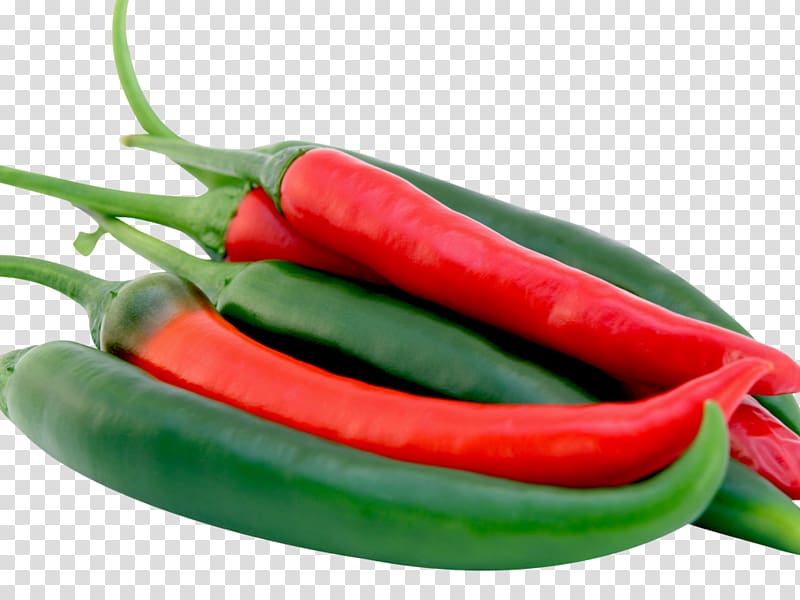Mirchi ka salan Chili pepper Bell pepper Tabasco pepper Vegetable, vegetable transparent background PNG clipart
