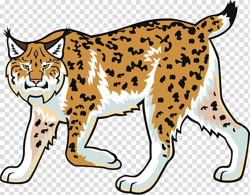 Eurasian lynx Bobcat Wildcat Felidae , cheetah transparent background PNG clipart