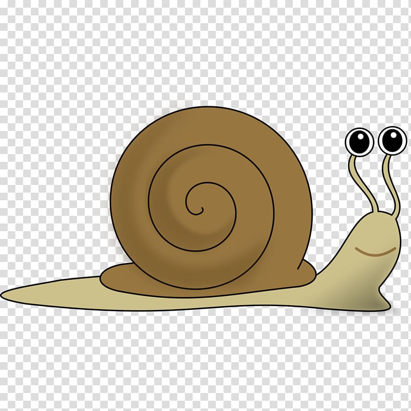 Snail , Snail transparent background PNG clipart