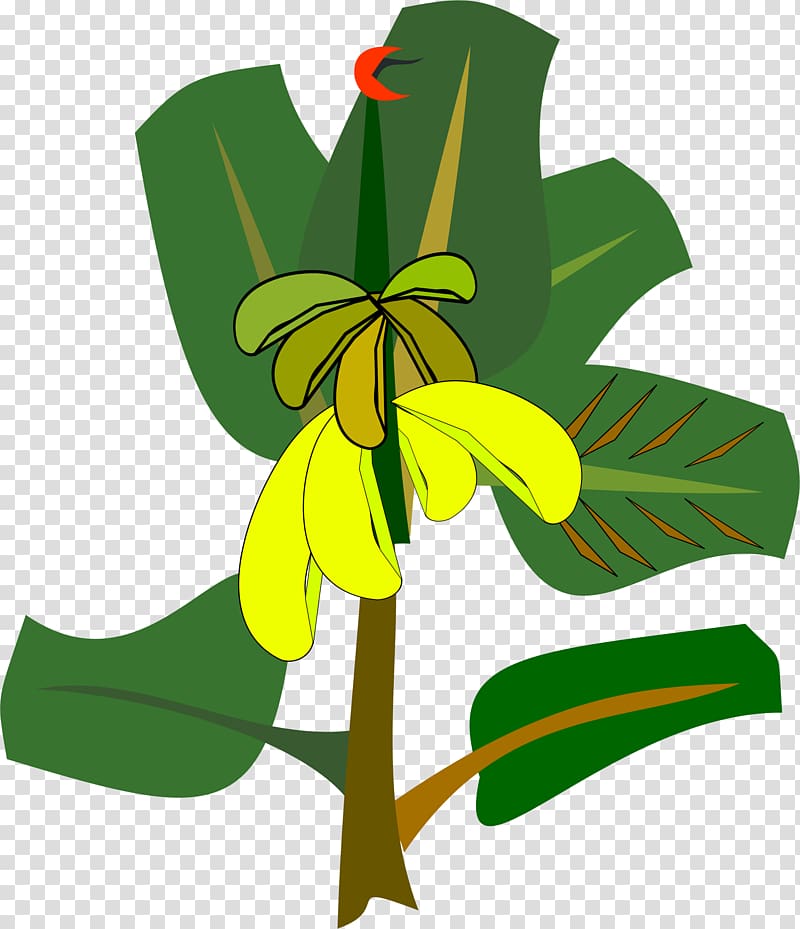 Banana split , banana leaves transparent background PNG clipart