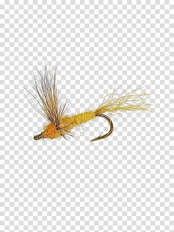 Fly fishing Hackles Sulfur Artificial fly, fly transparent background PNG clipart