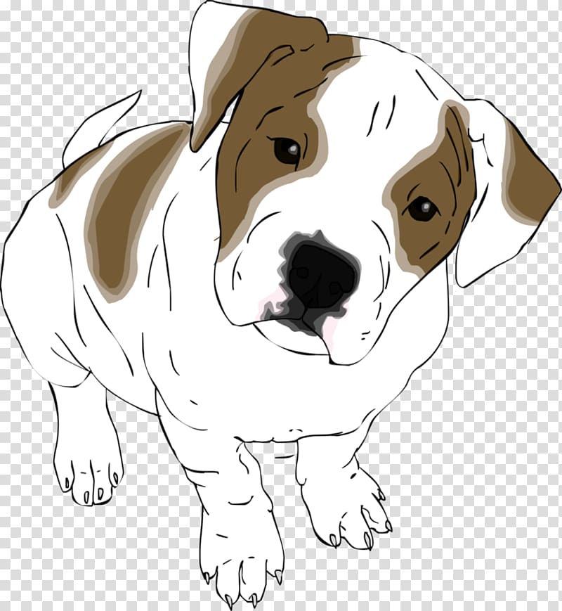 Dog breed Puppy Beagle American Bulldog, cute bulldog transparent background PNG clipart