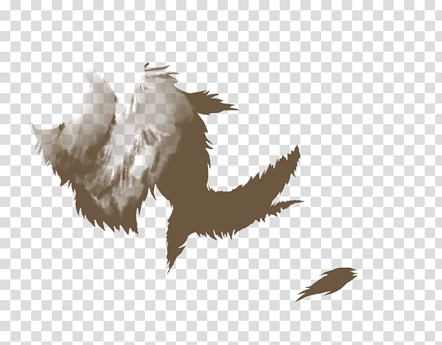 Feather Mane Bald Eagle Skin Hair, feather transparent background PNG clipart