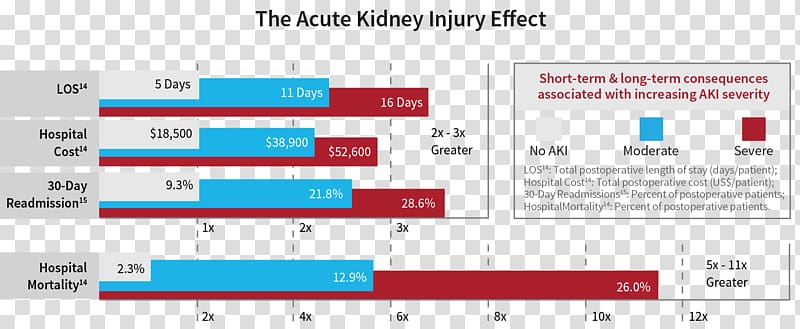 Acute kidney failure Acute disease Chronic kidney disease Mortality rate, others transparent background PNG clipart