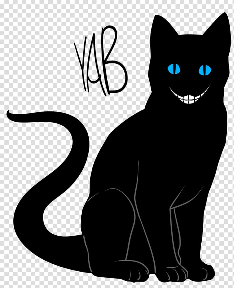 Black cat Kitten Whiskers Domestic short-haired cat, real cat transparent background PNG clipart