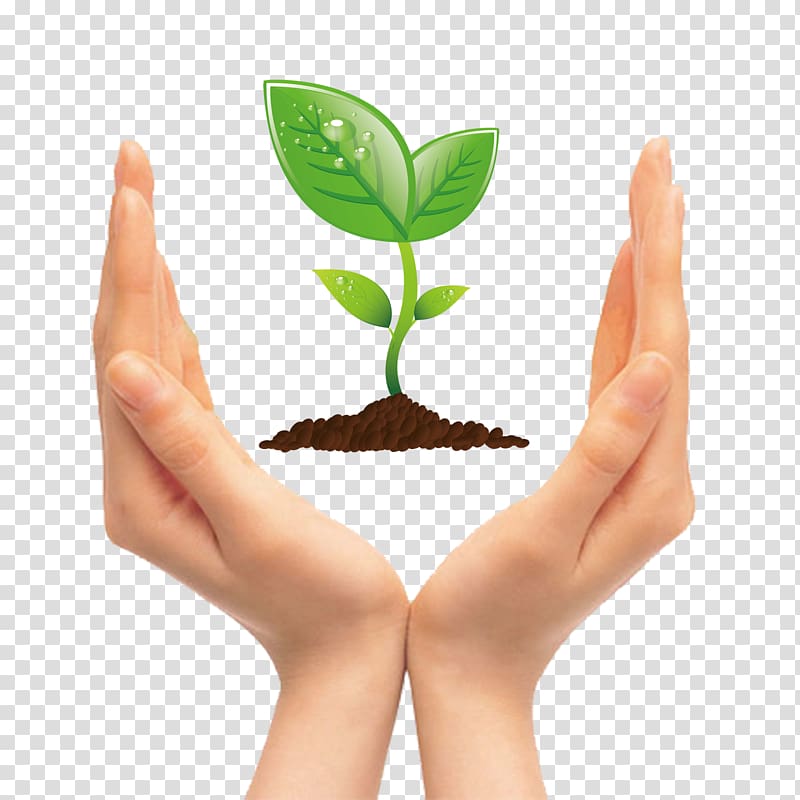 Tree Seedling , Holding green teeth in kind transparent background PNG clipart