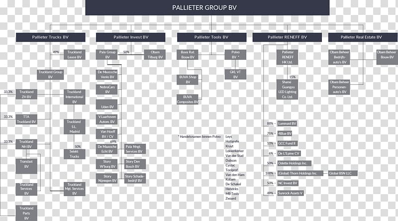 Organizational chart Pallieter Group B.V. Holding company Visie, others transparent background PNG clipart