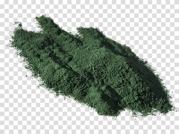 Spirulina Dietary supplement Blue-green bacteria Arthrospira platensis Food, Spirulina Powder transparent background PNG clipart