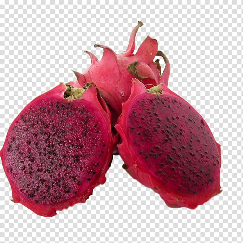 Pitaya Auglis Hylocereus undatus Fruit Daging buah, others transparent background PNG clipart
