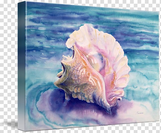 Watercolor painting Lobatus gigas Seashell Conch, painting transparent background PNG clipart