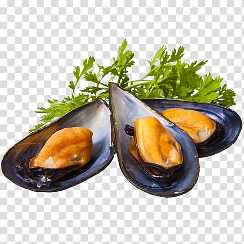 Mediterranean mussel Seafood Restaurant, others transparent background PNG clipart