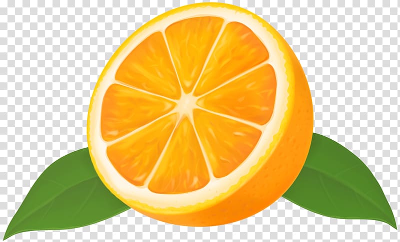 Lemon Mandarin orange Grapefruit Lime, Half Orange transparent background PNG clipart