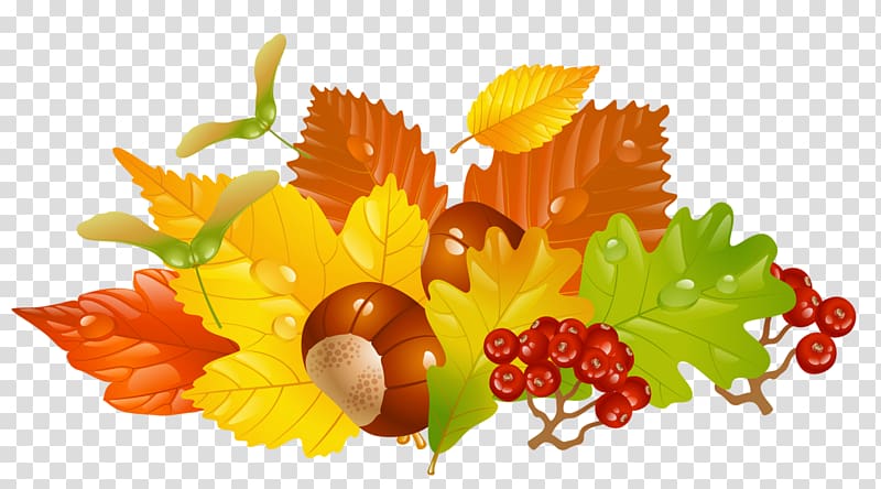 Autumn leaf color , Chestnut Tree transparent background PNG clipart