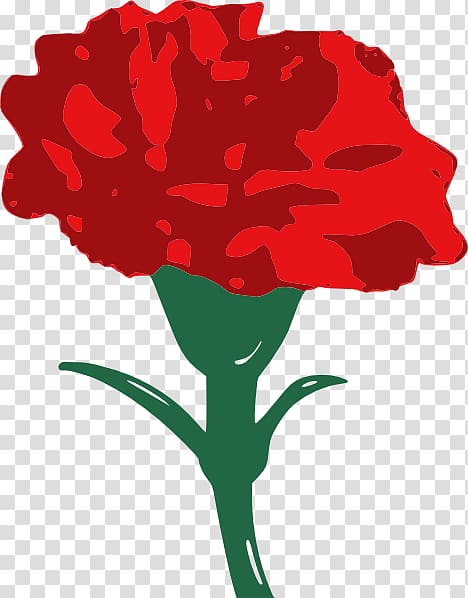 Carnation Drawing Red , Carnation transparent background PNG clipart