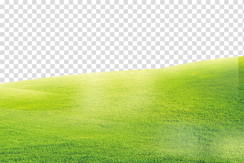 landscape of field , Green grass background transparent background PNG clipart