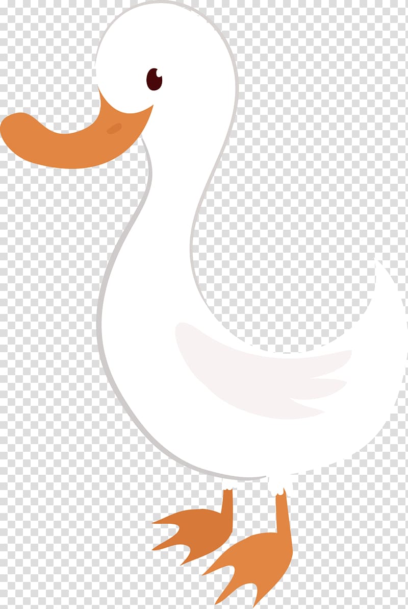 Duck American Pekin Cygnini , Swan transparent background PNG clipart