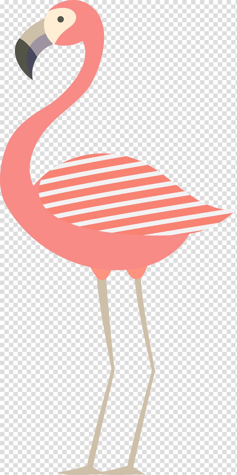 Bird Flamingo, ninety transparent background PNG clipart