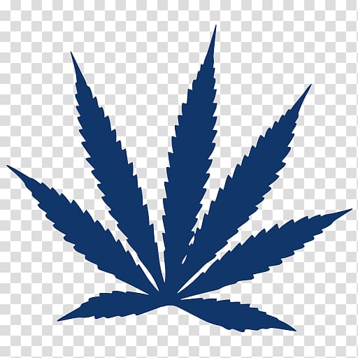 Marijuana Medical cannabis , budweiser transparent background PNG clipart
