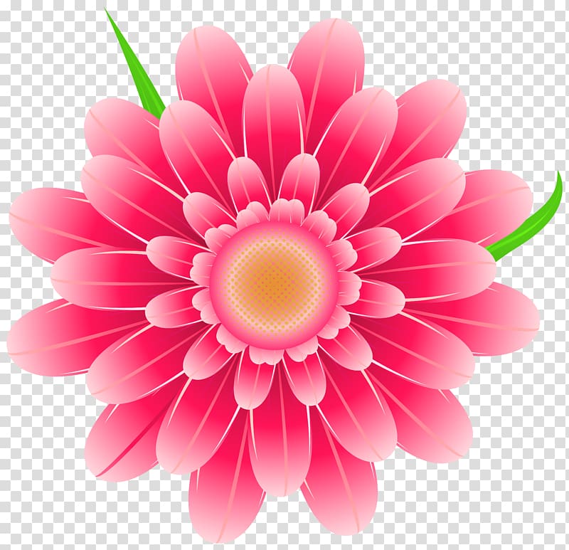 Pink flowers , Pink Flower , pink flower illustration transparent background PNG clipart