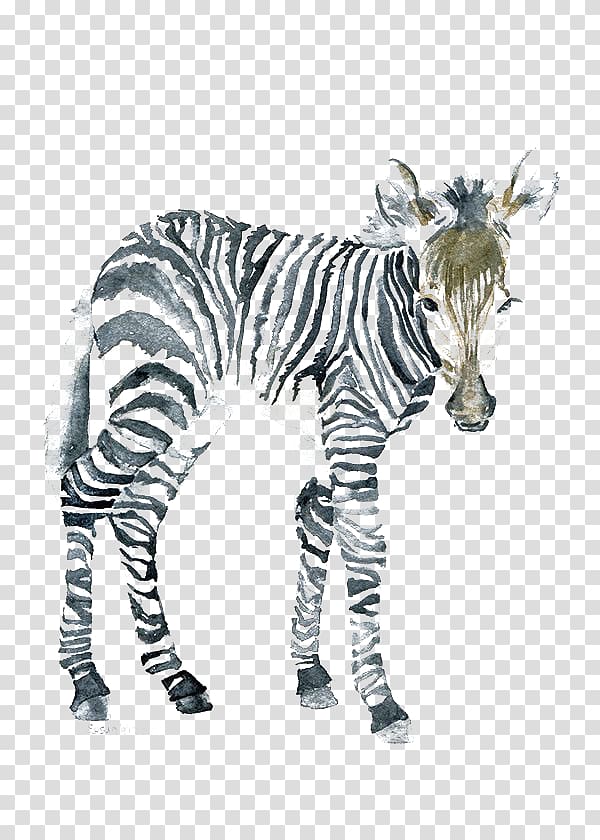 zebra illustration, The Art of Painting Zebra Watercolor painting Canvas, zebra transparent background PNG clipart